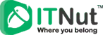 IT Nut Hosting logo
