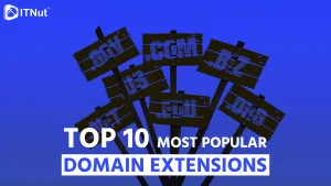 Read more about the article TOP 10 Most Popular Domain Extensions