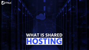 Read more about the article What is Shared Hosting