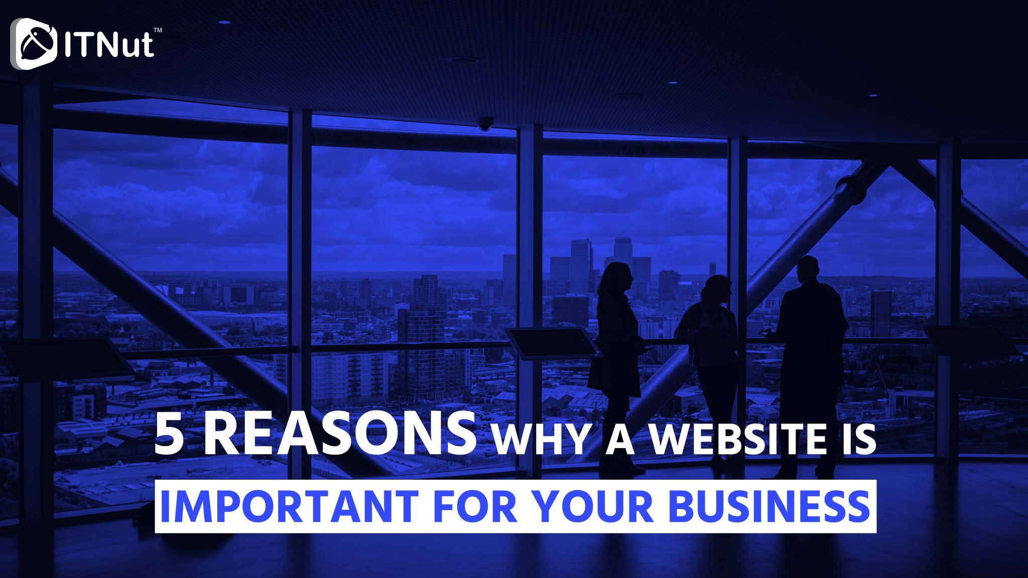 You are currently viewing 5 Reasons Why a Website is Important For Your Business