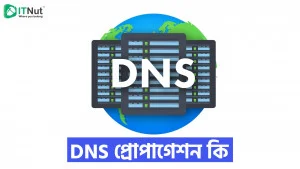Read more about the article DNS Propagation কি? ডিএনএস প্রোপাগেশন চেক টুলস